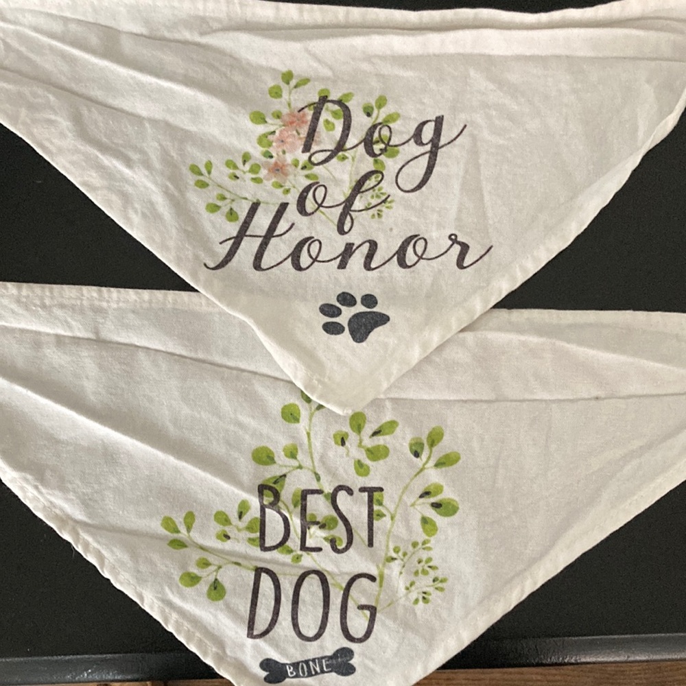 Dog bandannas Wedding